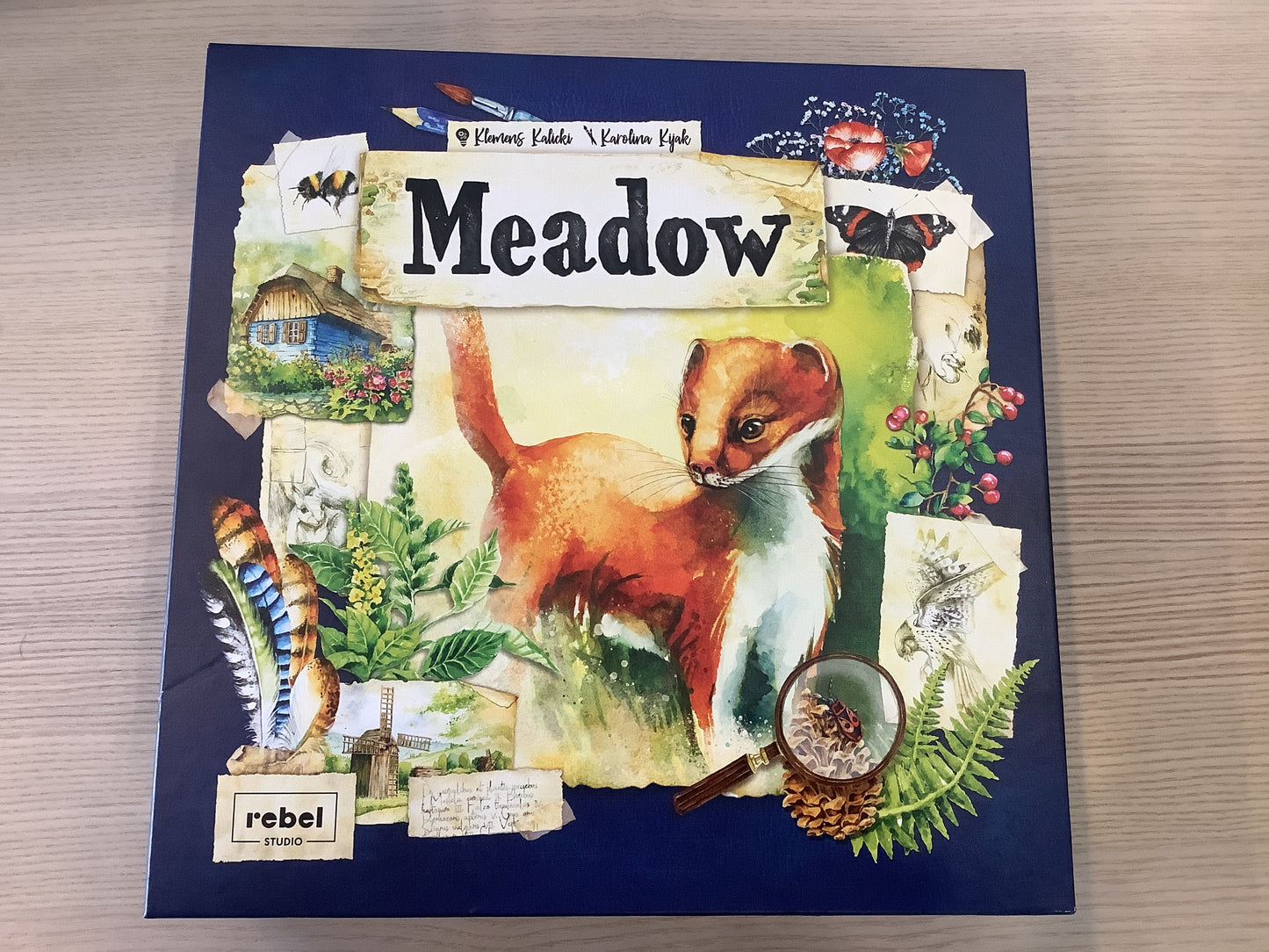 DEMO-Meadow
