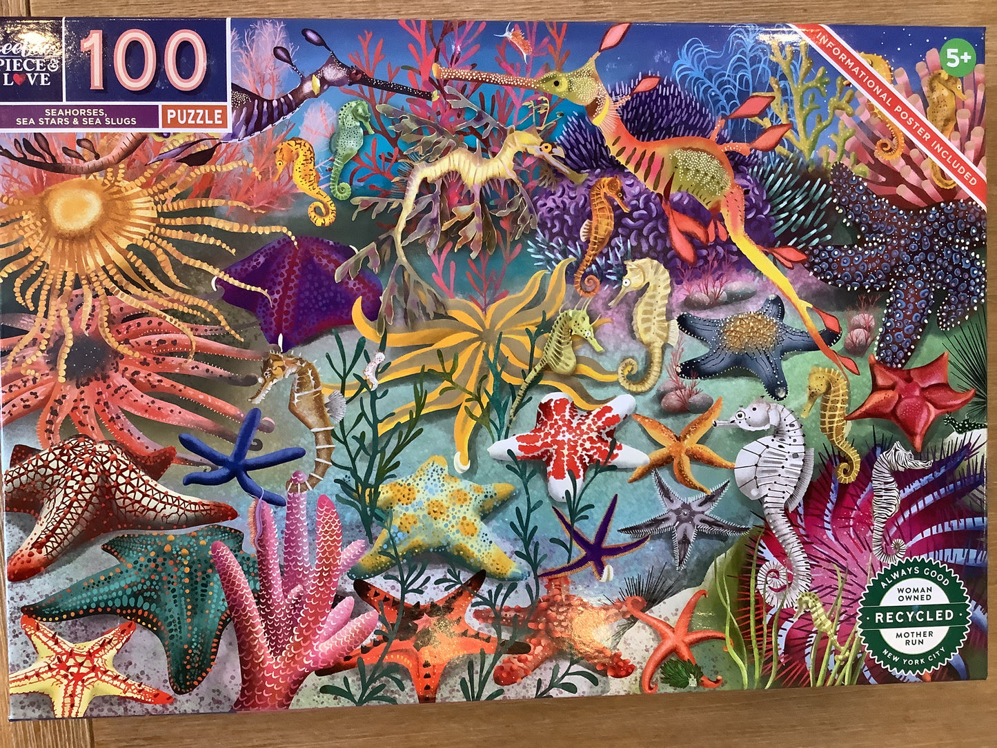 Seahorses, Sea Stars, & Sea Slugs 100 pc