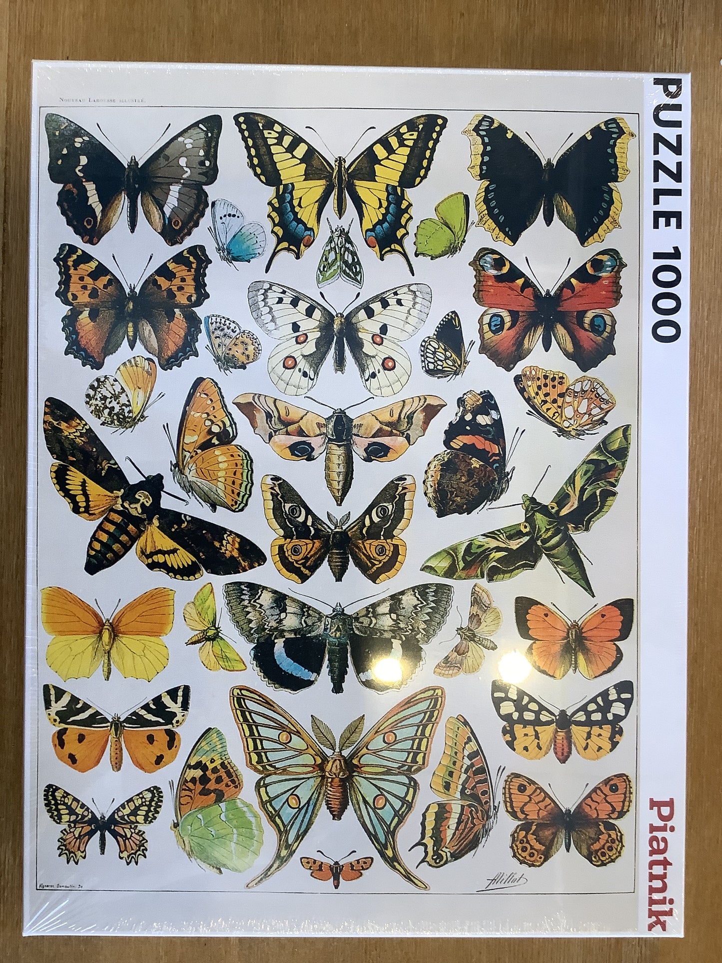 Butterflies and Moths 1000pc. Puzzle