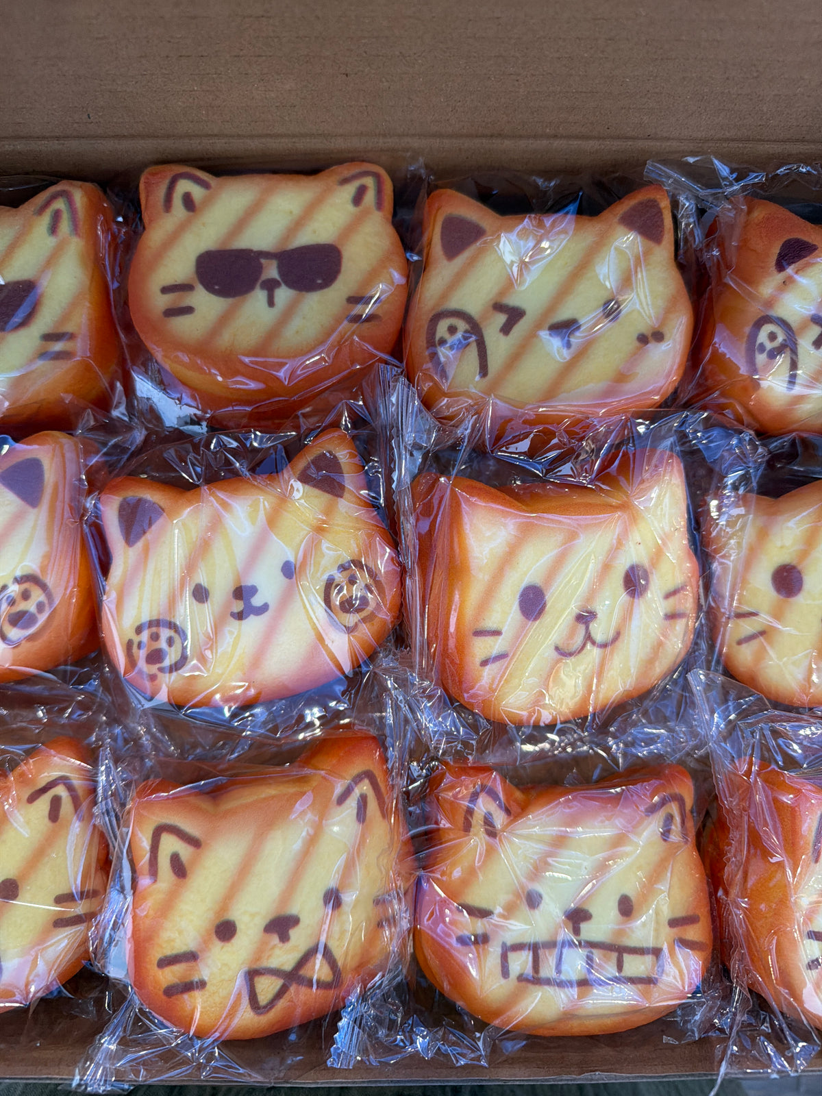 Cat Bread Squishy