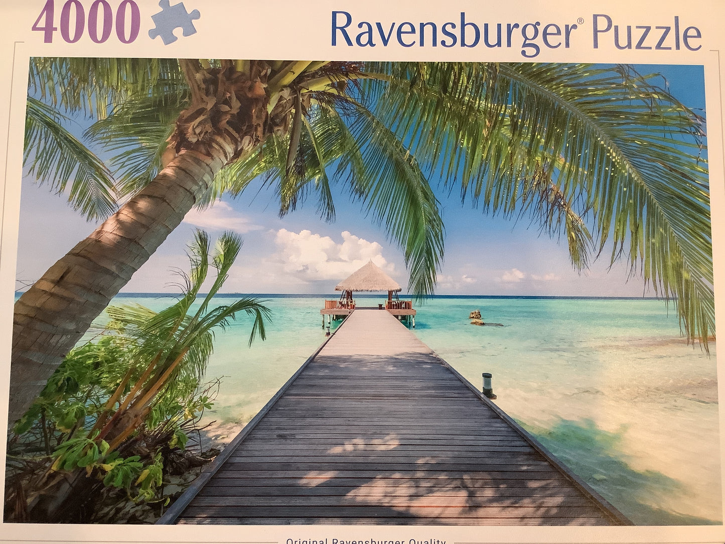 Dream Beach in the Maldives 4000pcs
