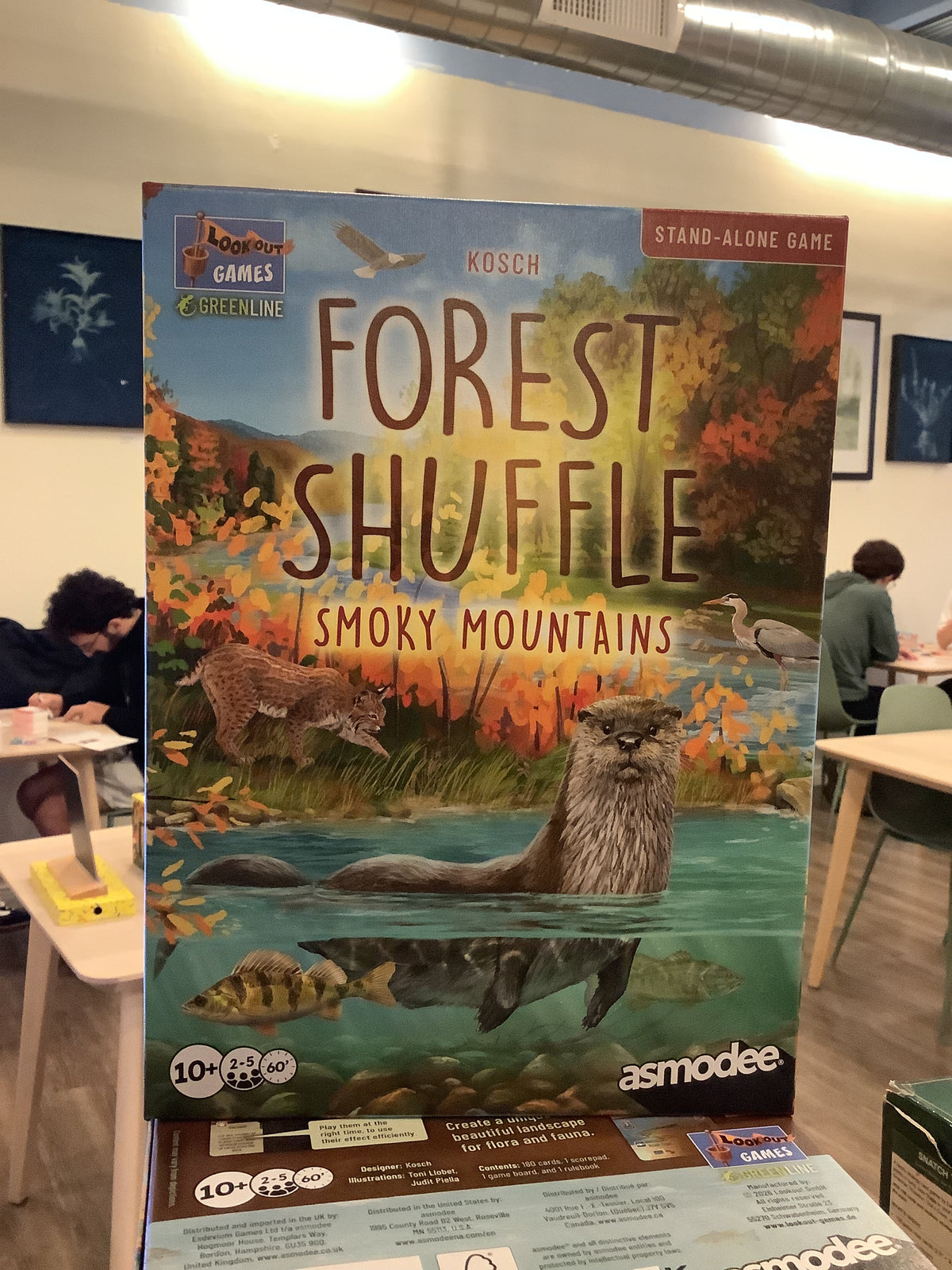 Forest Shuffle Smoky Mountains