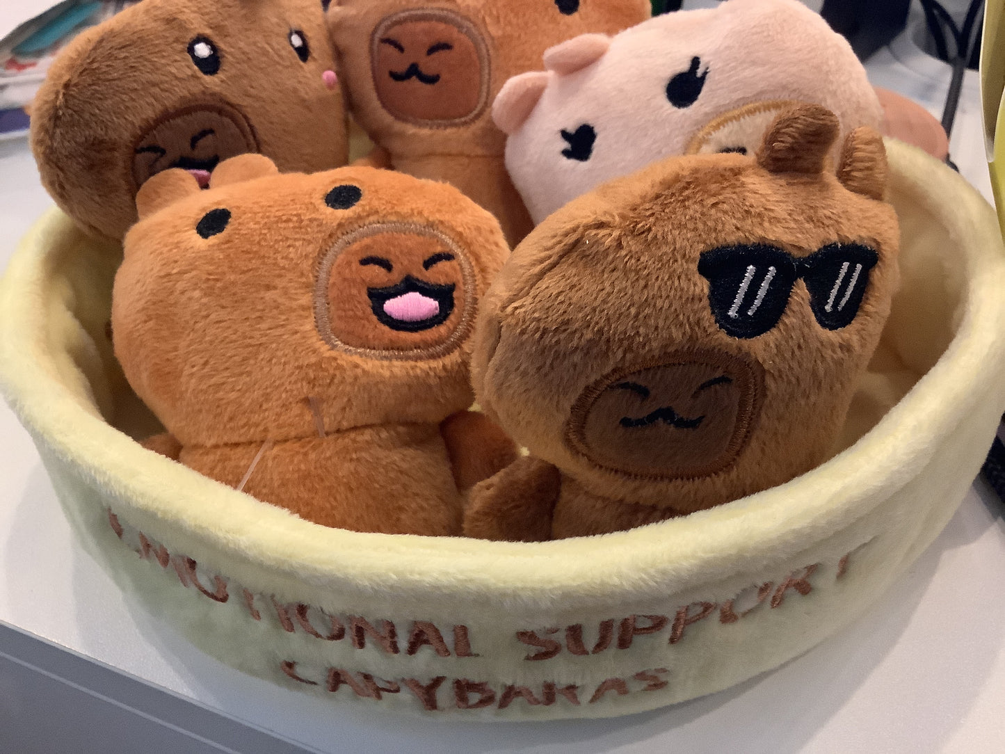 Emotional Support Capybaras